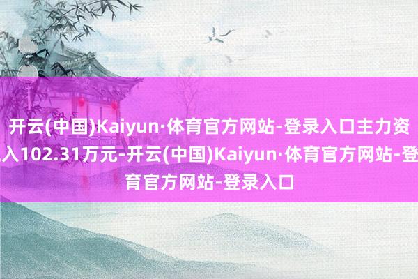 开云(中国)Kaiyun·体育官方网站-登录入口主力资金净流入102.31万元-开云(中国)Kaiyun·体育官方网站-登录入口