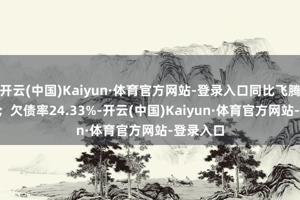 开云(中国)Kaiyun·体育官方网站-登录入口同比飞腾21.24%；欠债率24.33%-开云(中国)Kaiyun·体育官方网站-登录入口