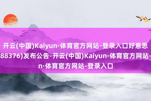 开云(中国)Kaiyun·体育官方网站-登录入口好意思埃科技(688376)发布公告-开云(中国)Kaiyun·体育官方网站-登录入口