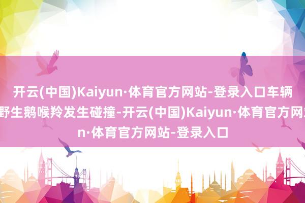 开云(中国)Kaiyun·体育官方网站-登录入口车辆失慎与一只野生鹅喉羚发生碰撞-开云(中国)Kaiyun·体育官方网站-登录入口