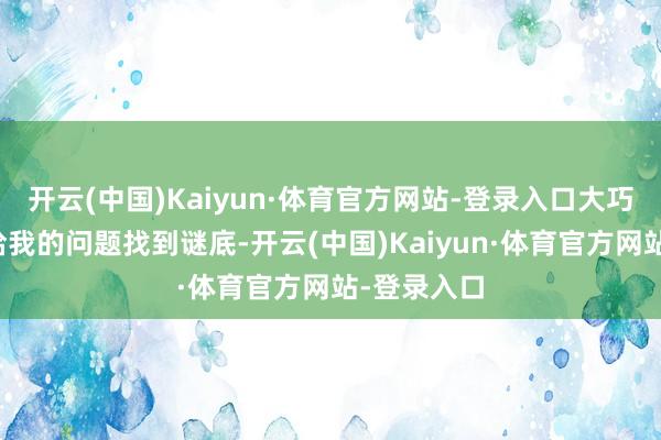 开云(中国)Kaiyun·体育官方网站-登录入口大巧若拙为了给我的问题找到谜底-开云(中国)Kaiyun·体育官方网站-登录入口
