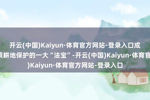 开云(中国)Kaiyun·体育官方网站-登录入口成为白云区高效鞭策耕地保护的一大“法宝”-开云(中国)Kaiyun·体育官方网站-登录入口