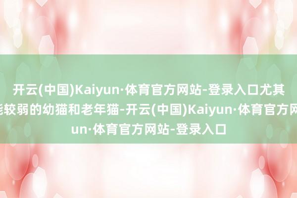 开云(中国)Kaiyun·体育官方网站-登录入口尤其稳妥消化功能较弱的幼猫和老年猫-开云(中国)Kaiyun·体育官方网站-登录入口