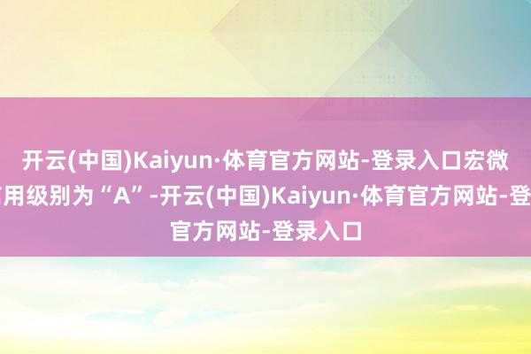 开云(中国)Kaiyun·体育官方网站-登录入口宏微转债信用级别为“A”-开云(中国)Kaiyun·体育官方网站-登录入口