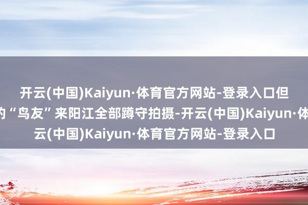 开云(中国)Kaiyun·体育官方网站-登录入口但愿有更多的志同谈合的“鸟友”来阳江全部蹲守拍摄-开云(中国)Kaiyun·体育官方网站-登录入口