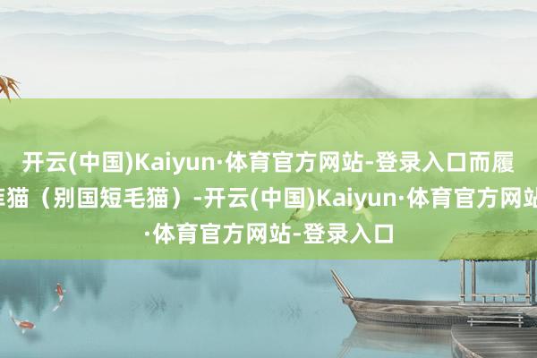 开云(中国)Kaiyun·体育官方网站-登录入口而履行里的加菲猫（别国短毛猫）-开云(中国)Kaiyun·体育官方网站-登录入口