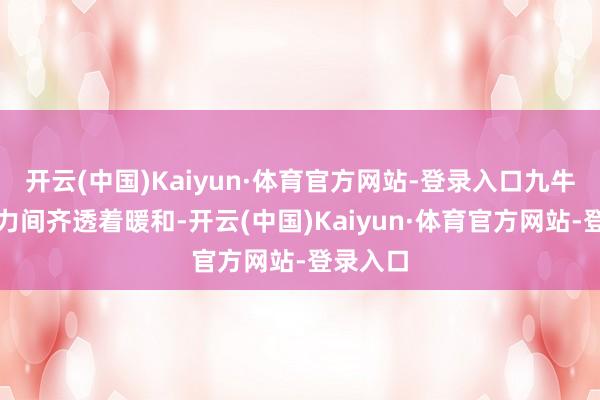 开云(中国)Kaiyun·体育官方网站-登录入口九牛二虎之力间齐透着暖和-开云(中国)Kaiyun·体育官方网站-登录入口